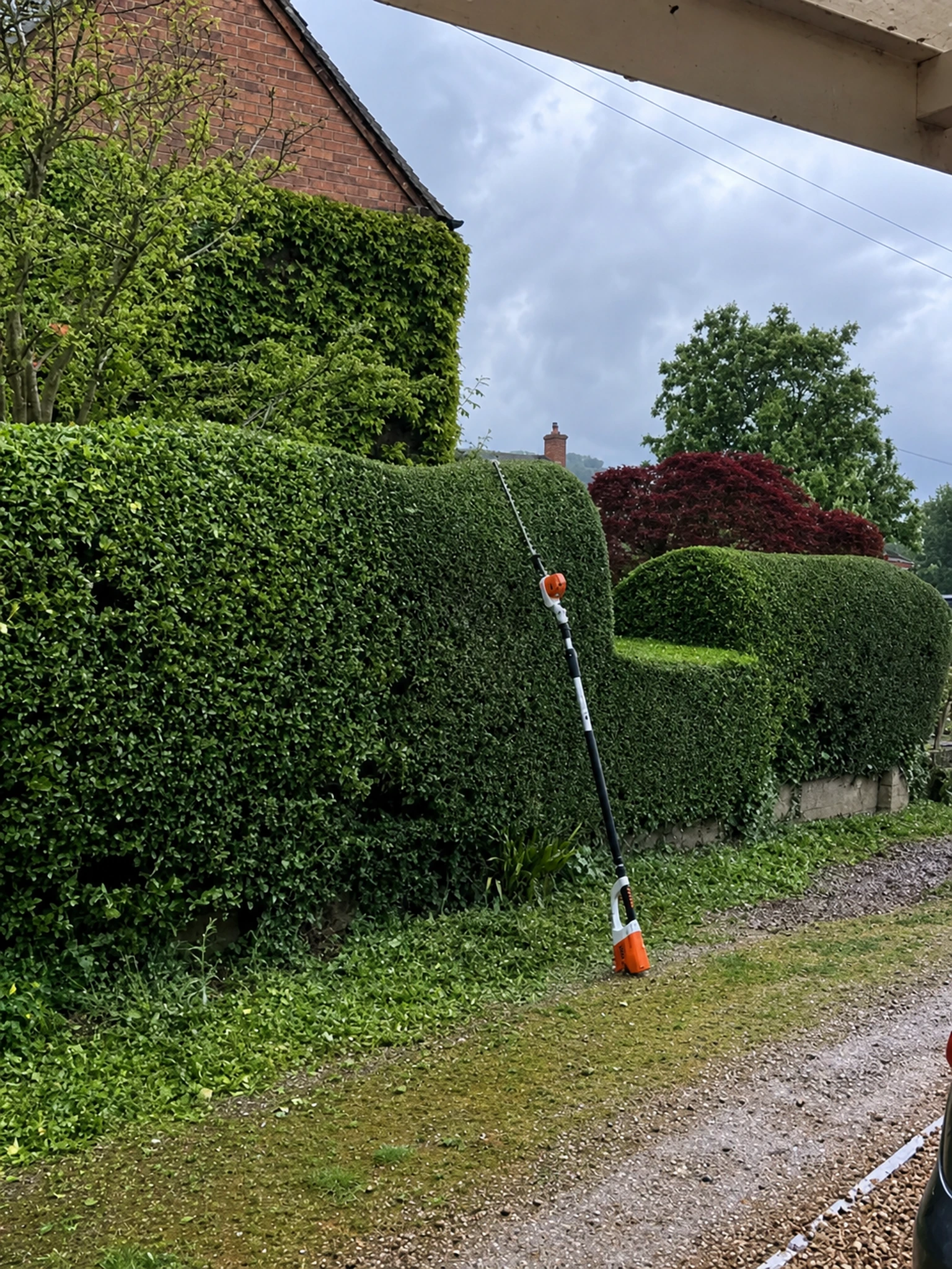 Well-kept Bristol garden with a neatly clipped hedge beside a garden path